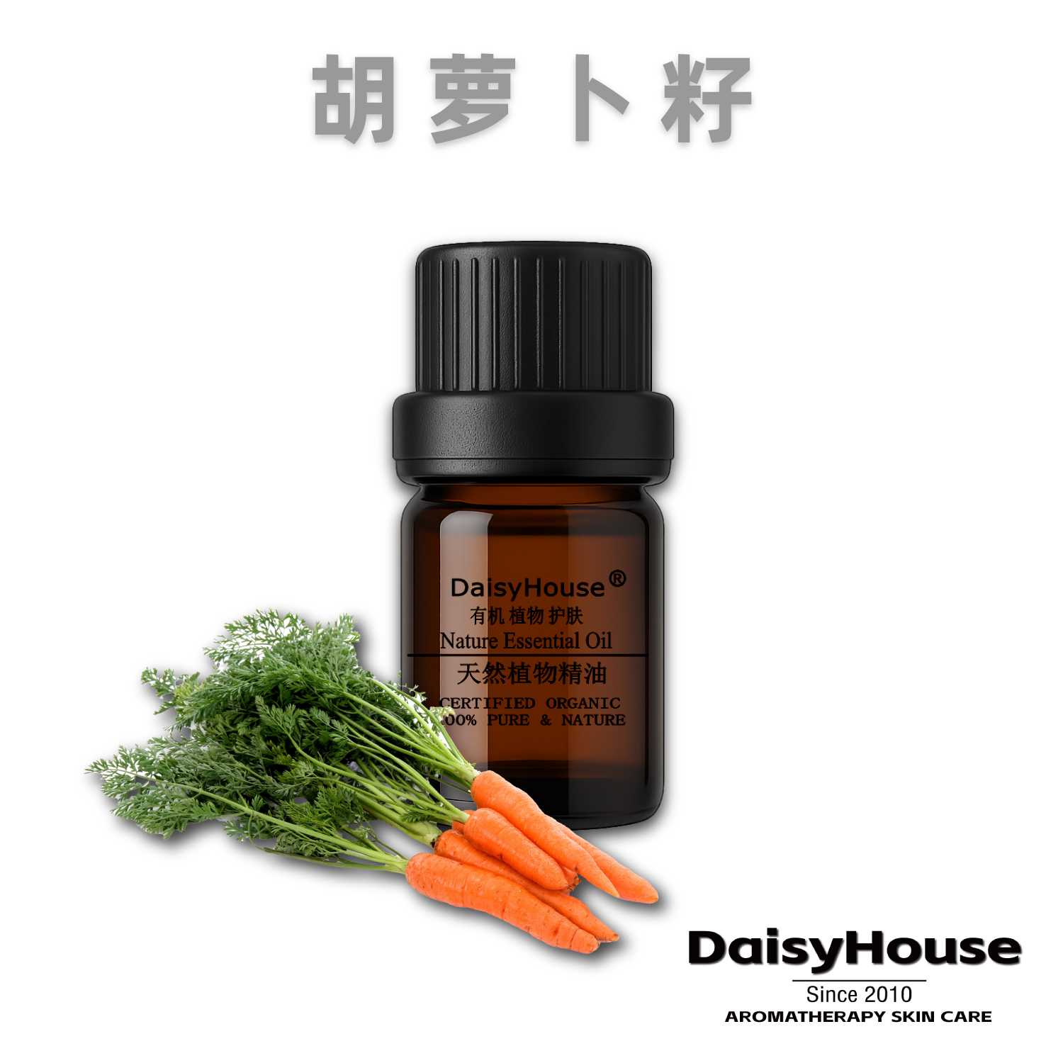 芳疗级天然胡萝卜籽精油 10ML  单方抗老化嫩白活肤