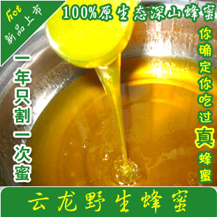 云龙蜂蜜纯正天然野生大瓶装土蜂蜜农家自产百花大桶装冬蜂蜜包邮