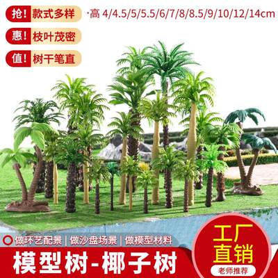 大王椰模型成品材料学生优惠