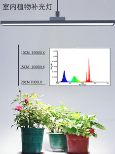 E27灯头彷太阳家用室内Led全光谱植物生长补光鱼缸灯水生植物藻类