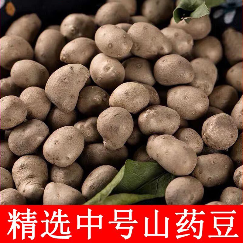 2025年现摘铁棍山药豆现摘中号农家淮怀 山药仔籽滋补山药蛋