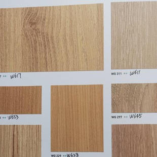 WG307 WG311 韩国进口装 WG229 2024版 WG308 WG297 饰膜正品