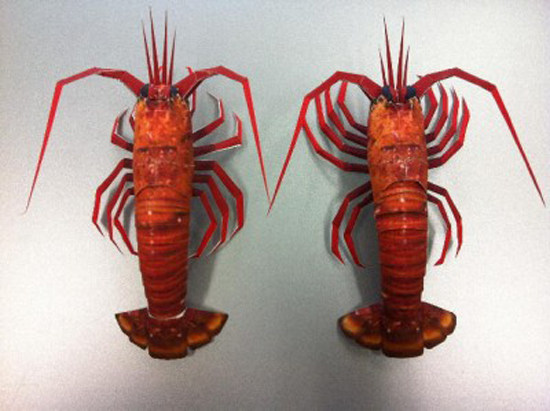 仿真动物生物小龙虾3d立体纸模型diy手工制作儿童益智折纸玩具