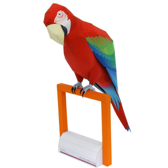 仿真动物亚马逊金刚大鹦鹉3d立体纸模型diy手工制作儿童折纸玩具