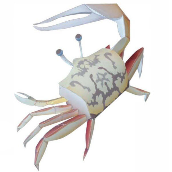 仿真海洋生物动物螃蟹3d立体纸模型diy手工制作儿童折纸益智玩具