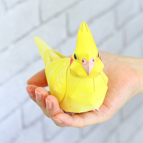 仿真动物鸟玄凤小鹦鹉3d立体纸模型DIY手工制作儿童益智折纸玩具,玩具/童车/益智/积木/模型,其他手工制作,淘宝优惠券,粉丝福利购,淘宝优惠卷