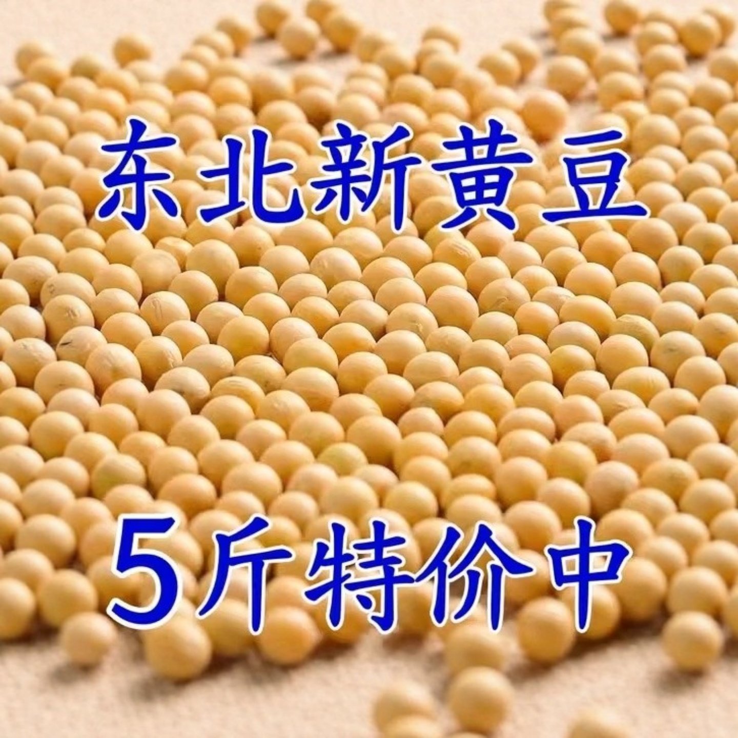 东北黄豆黑龙江农家大豆浆专用大豆五谷杂粮发豆芽批发新货黄大豆