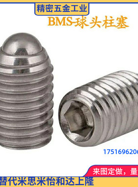 不锈钢顶珠球头柱塞BMS3/4/5/6/8/10/12/16替代MISMI米思米标准型