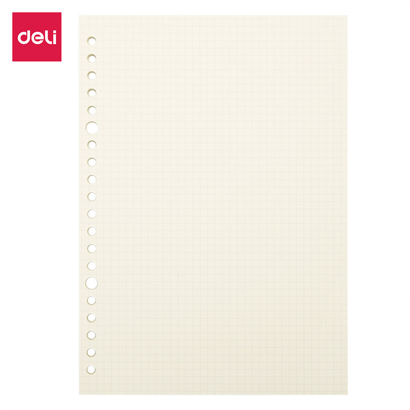 得力活页本替芯60张A5方格