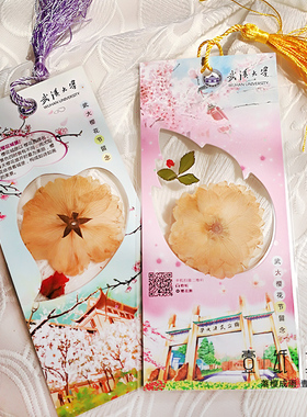 2025武汉大学樱花标本干花叶书签全新特色创意伴手礼物品送师女生