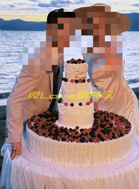 2026网红tablecake桌面蛋糕双层 水果样品道具定制 仿真蛋糕模型