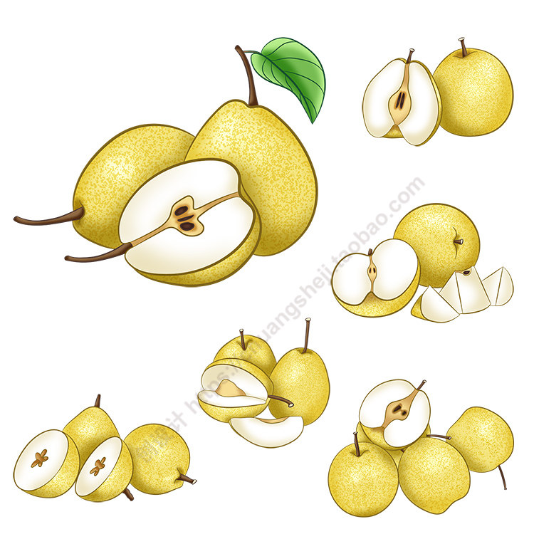 梨子插画 手绘水果雪花梨成熟果实切面 ai格式矢量设计素材