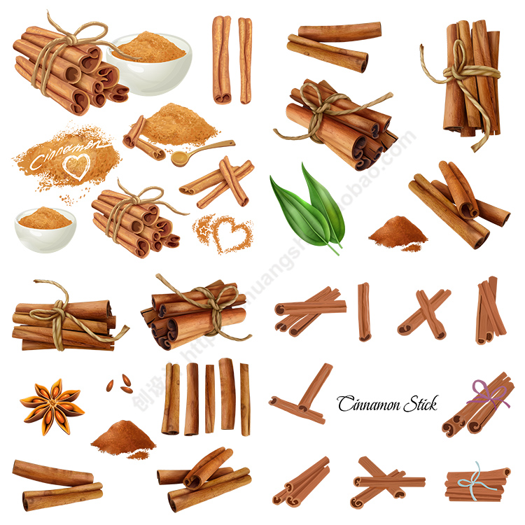 桂皮插画 手绘柴桂土桂山肉桂粉末香料调料 AI格式矢量设计素材