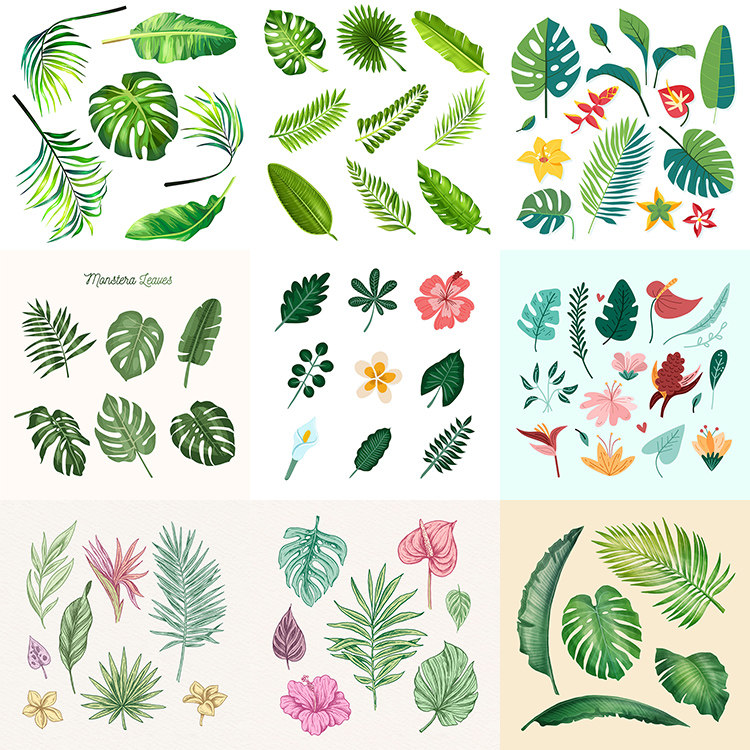 热带植物叶子手绘森系芭蕉叶棕榈叶龟背竹清新ai格式矢量设计素材