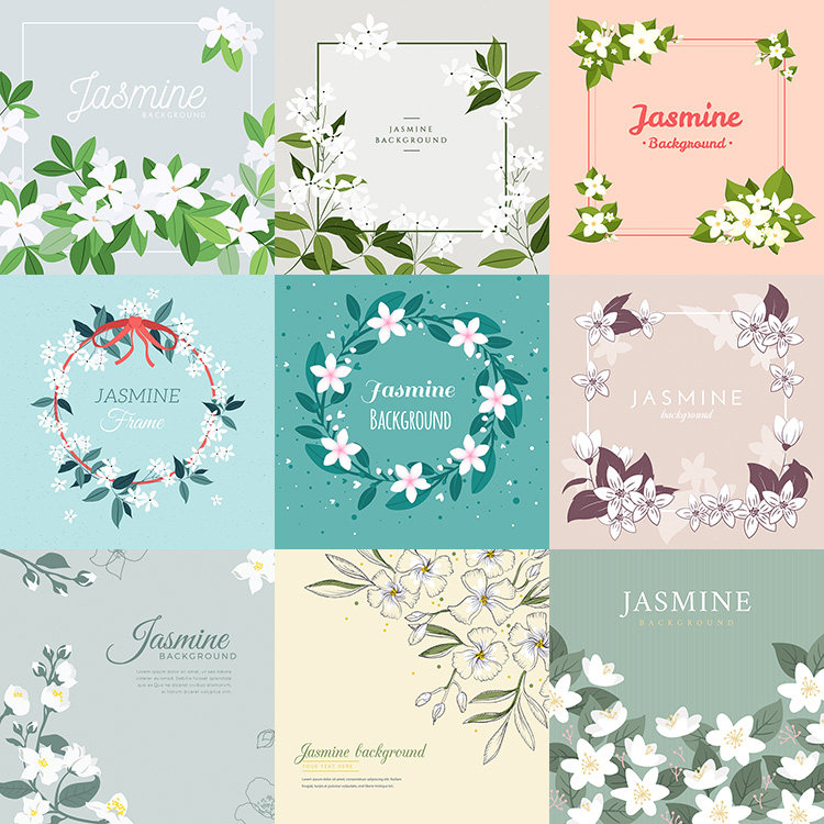 茉莉花海报背景 清新淡雅花卉花框卡片模板 ai格式矢量设计素材