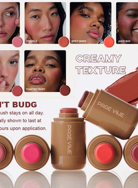 PAGE VINE跨境爆款口袋腮红棒六色唇颊水光棒高光棒外贸彩妆批发