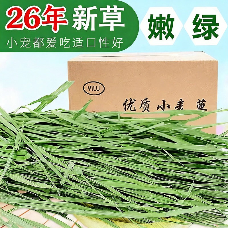 兔兔干草烘干小麦草牧草兔子草荷兰猪草龙猫牧草小麦苗毛重1kg