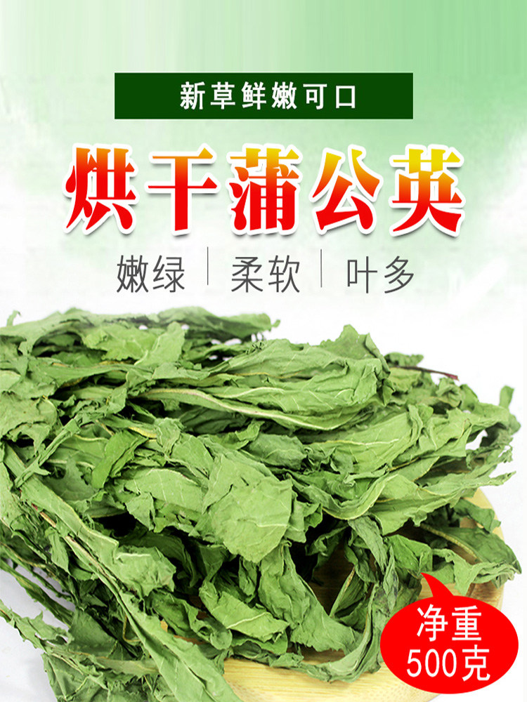 烘干蒲公英干草降火牧草图片