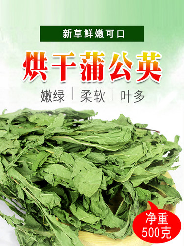 烘干蒲公英干草降火牧草