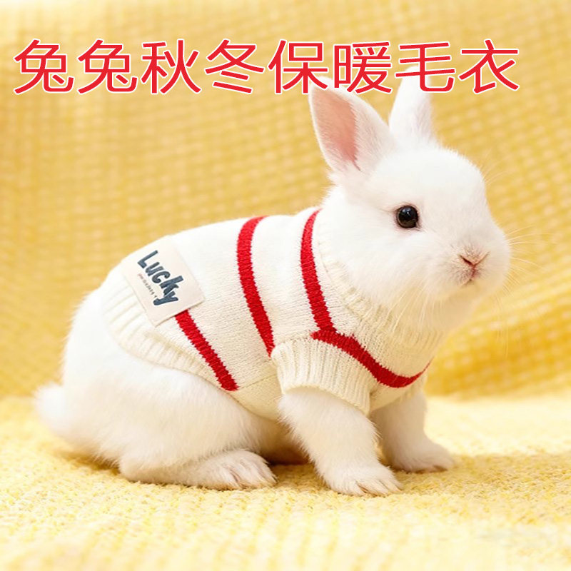 宠物兔子服饰衣服 冬季保暖中小型狗狗猫咪衣服保暖毛衣兔兔用品,宠物/宠物食品及用品,兔兔服饰,淘宝优惠券,粉丝福利购,淘宝优惠卷