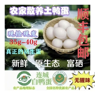 初生蛋正宗连城白鸭蛋鲜鸭蛋白鹜鸭白鹭鸭蛋土鸭新鲜散养顺丰包邮