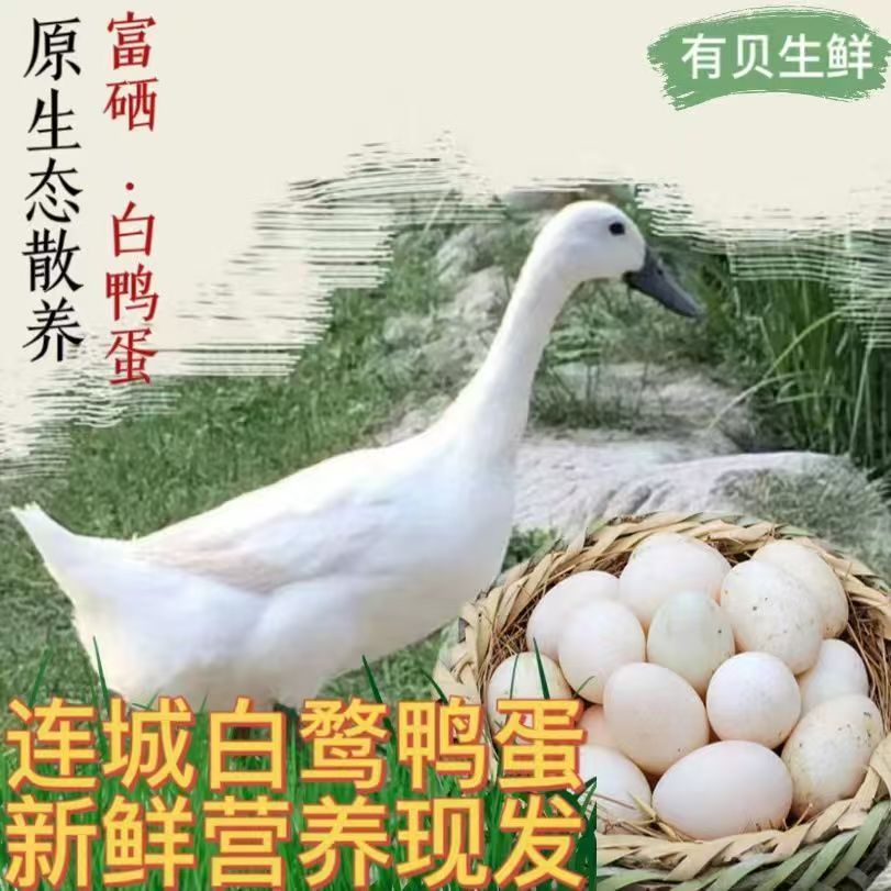 正宗连城白鸭蛋富硒新鲜山林散养土鸭蛋白鹜鸭蛋包邮发中通快递