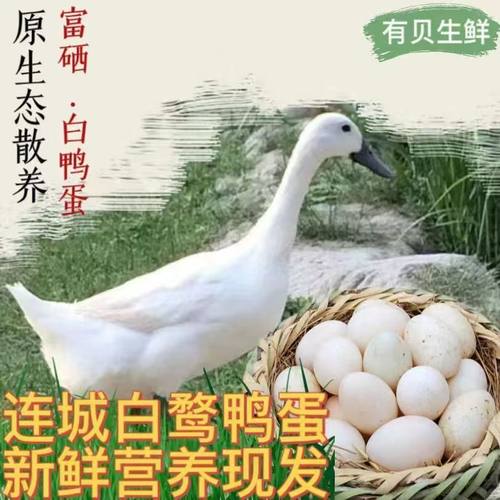 正宗连城白鸭蛋富硒新鲜山林散养土鸭蛋白鹜鸭蛋包邮发中通快递