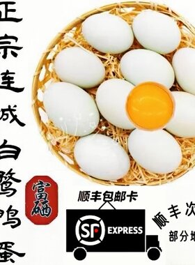 连城白鹜鸭蛋初生蛋鲜鸭蛋