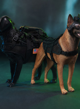 现货 MINITIMES 1/6美军海豹突击队 军犬模型 不含配件/兵人