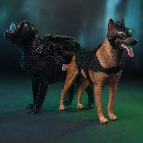 现货 MINITIMES 1/6美军海豹突击队 军犬模型 不含配件/兵人