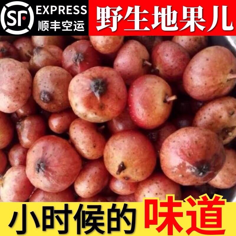 野生地瓜四川现摘现发野地果地石榴达州地枇杷地瓜泡带泥发货顺丰