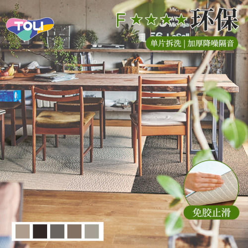 TOLI东理可拆洗地毯家用免胶止滑加厚降噪日本环保地毯正品拼色
