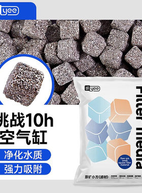 yee原矿石英球细菌屋滤材净水