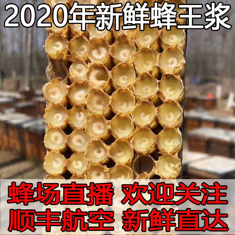 蜂王浆野生2020年天然洋槐浆鲜王浆面膜直播间手工挖浆蜂皇浆500g|ruв категории традиционные питательный пища, продуктов пчеловодства, маточное молочко - от Buy2taobao.com для оказания профессиональной услуги покупки агента Taobao