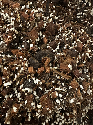 12升天南星科配土热植营养土