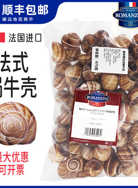 法国进口蜗牛壳田螺壳空壳