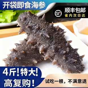 大连即食海参500g工厂直发包邮 开袋即食免泡免煮老人小孩都能吃