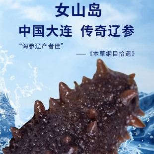 大连女山岛鲜蒸海参5斤孕妇级17年老店 开袋即享辽刺参 高考加油