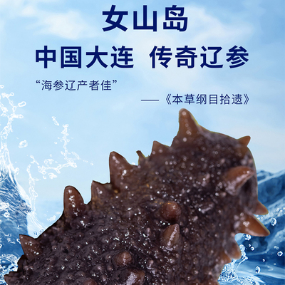 女山岛鲜蒸海参半野生辽刺参