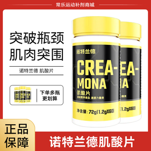 诺特兰德肌酸片一水肌酸健身运动补剂 肌酸片剂 非支链氮泵bcaa
