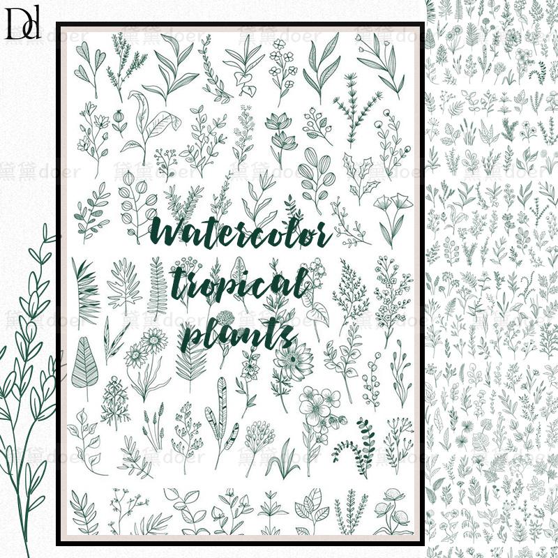 清新简约的植物主题矢量线性插画设计素材AI+EPS+JPG+PSD+SVG+PDF