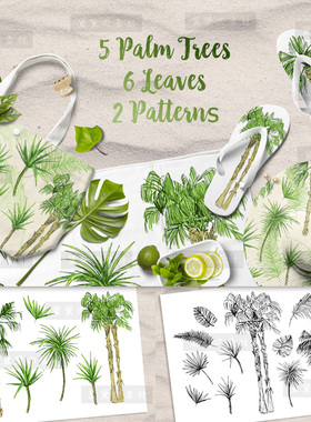 手绘水彩线描夏季热带绿色植物椰树插画背景PNG+EPS矢量图片素材