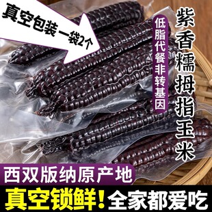 云南紫色拇指黑玉米儿童即食代餐手指香糯小玉米新鲜苞米棒真空装
