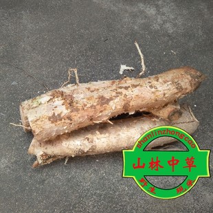 潮汕百年老树龄橄榄树根 新鲜青橄榄根 青果树根 白榄树根500g