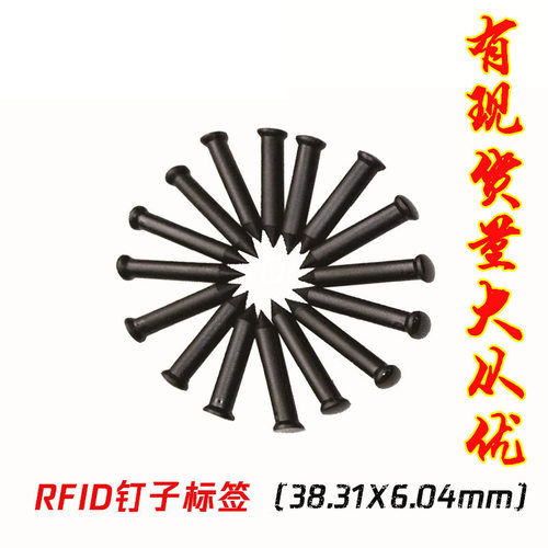 ABS户外巡更RFID钉子标签