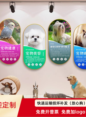 宠物店简约装饰完善布置挂画