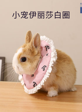 伊丽莎白圈仓鼠龙猫兔子护理圈