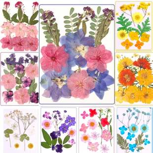 植物标本压花手工材料diy春日来信干花相框滴胶押花书签