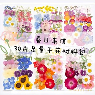 植物标本压花手工材料diy写真春日来信干花相框滴胶押花真花书签