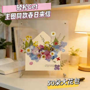 春日来信50片干花压花材料包干花手机壳压花手工diy真花植物标本